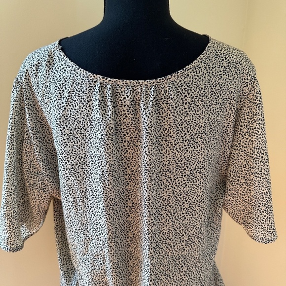 *SIENNA SKY* Tan x Black Short Sleeve Blouse Size Large - Picture 5 of 7